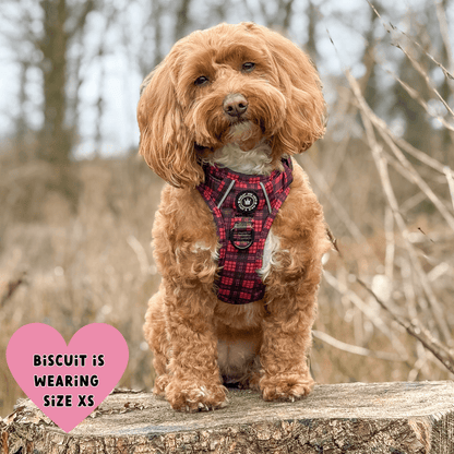 Trail & Glow® Dog Harness - The Red Tartan One: M