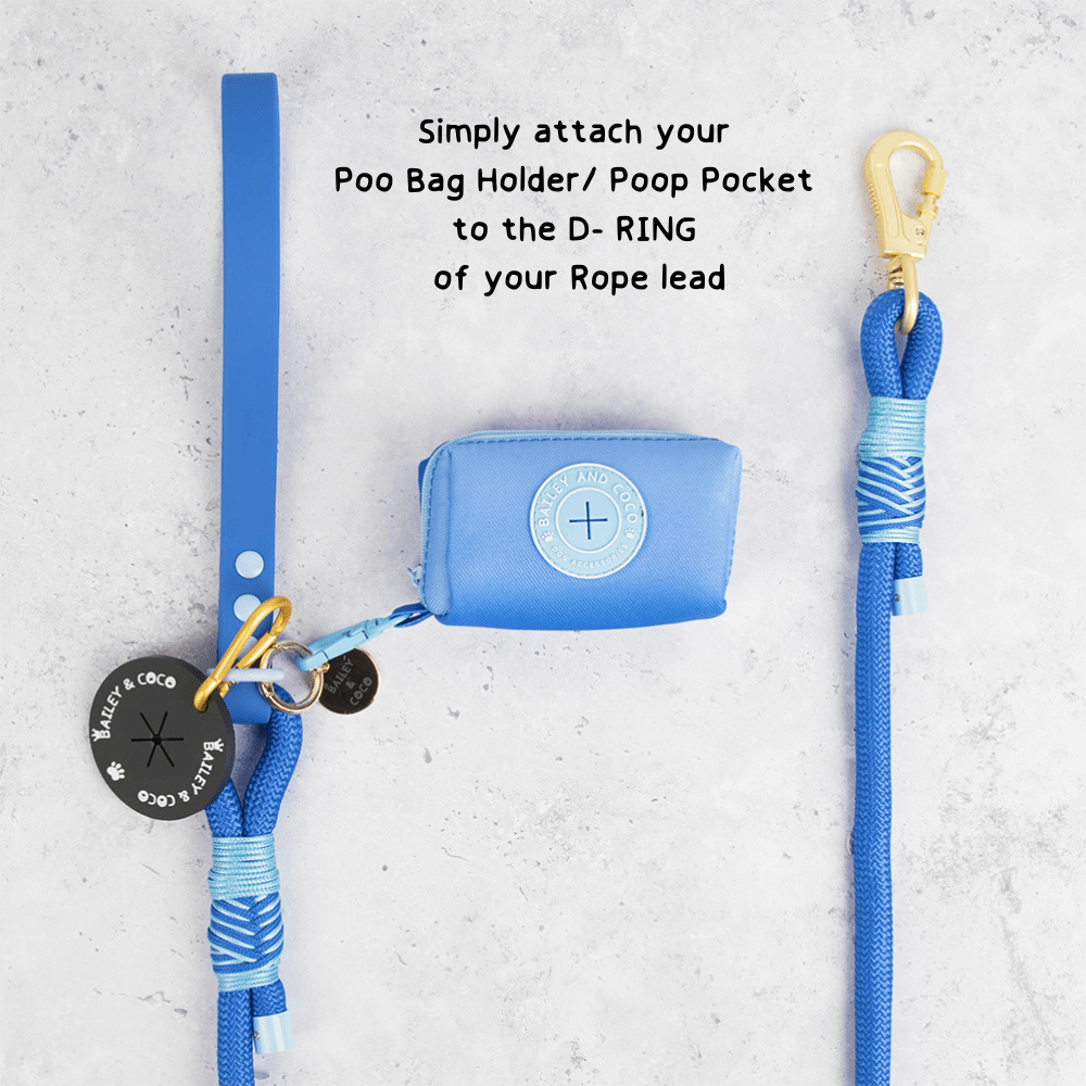 Rope Dog Lead COLOUR DROPS® - Head in the Clouds