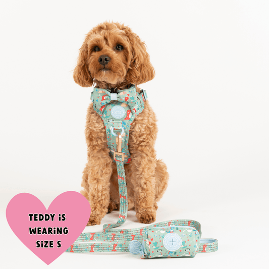Dinosaur Dog Harness – Dino Party Reflective No-Pull: S