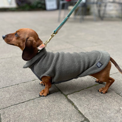 Dachshund Fleece Jumper with Waterproof Belly Panel: Sunshine / Large