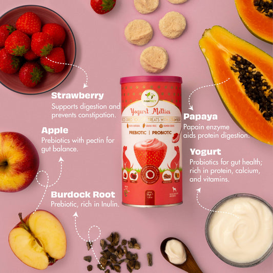 Pawfect Yogurt Melties Prebiotic and Probiotic Dog Treats: Strawberry & Yogurt (38g/1.34oz)