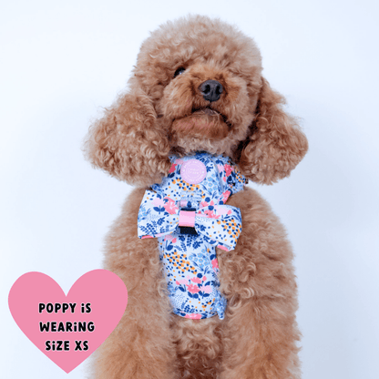 Floral Dog Harness - Colour Drops - Spring Dreams: XS
