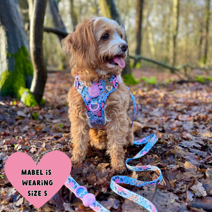 Floral Dog Harness - Colour Drops - Spring Dreams: XS