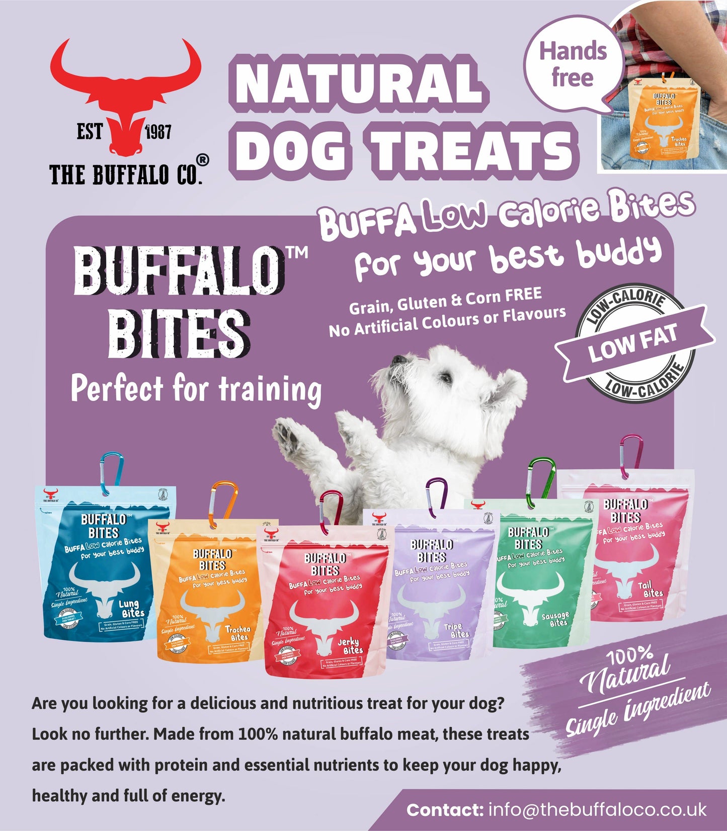 Buffalo Bites